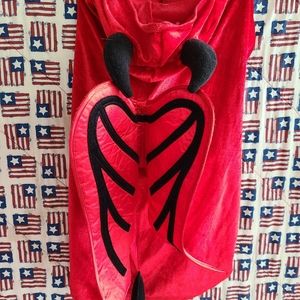 Doggie DEVIL Halloween outfit for a dog